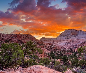 Park Narodowy Zion, Skały, Stany Zjednoczone, Zachód słońca, Stan Utah, Drzewa
