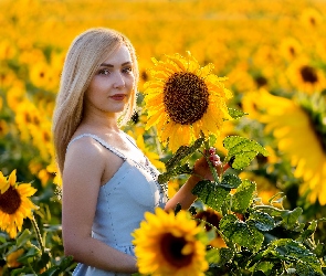 Kobieta, Słoneczniki, Kwiaty, Blondynka