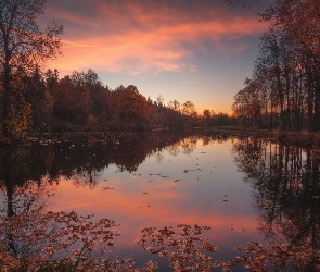 Rosja, Obwód moskiewski, Zachód słońca, Drzewa, Staw Barski, Serednikowo