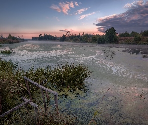 Rzeka Dubna, Mgła, Łotwa, Trawa, Łatgalia, Drzewa