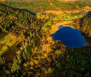 Wzgórza, Irlandia, Park Narodowy Gór Wicklow, Las, Jezioro Lower Lake