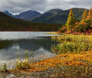 Obwód magadański, Kołyma, Drzewa, Rosja, Jezioro, Jesień, Góry Kołymskie