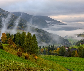 Santa Maddalena, Dolomity, Wieś, Włochy, Mgła, Wzgórza, Drzewa, Domy, Góry