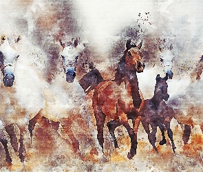 Konie, Grafika, Galop
