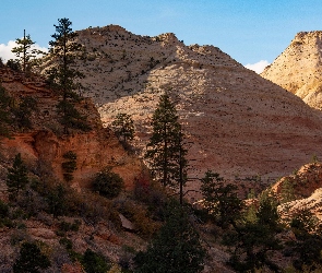 Stany Zjednoczone, Stan Utah, Drzewa, Park Narodowy Zion, Góry, Skały