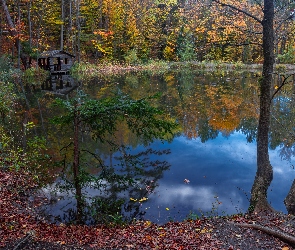 Drzewa, Jesień, Altanka, Jezioro, Las