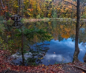 Las, Jesień, Jezioro, Altanka, Drzewa