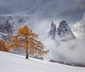 Masyw Schlern, Dolomity, Drzewa, Włochy, Góry, Zima, Mgła
