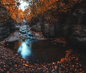 Liście, Rzeczka, Skały, Jesień, Drzewa, Strumyk