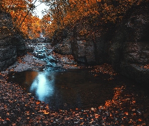 Jesień, Skały, Liście, Strumyk, Rzeczka, Drzewa