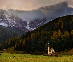 Dolina Val di Funes, Kościół św. Jana, Włochy, Góry, Dolomity, Lasy