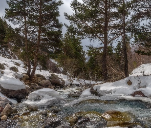 Rosja, Wąwóz Terskol, Śnieg, Kabardo-Bałkaria, Potok, Las, Rzeka, Kamienie, Drzewa, Zima