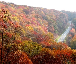 Jesień, Wzgórza, Liście, Droga, Drzewa