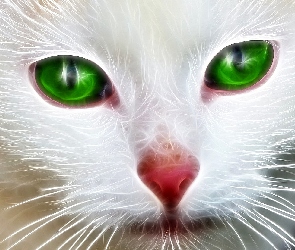 Oczy, Zielone, Mordka, Fractalius, Nos, Kot, Czerwony