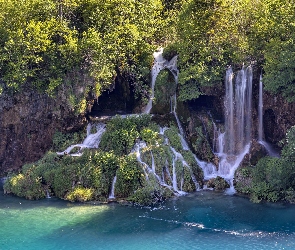 Wodospad, Park Narodowy Jezior Plitwickich, Roślinność, Drzewa, Chorwacja