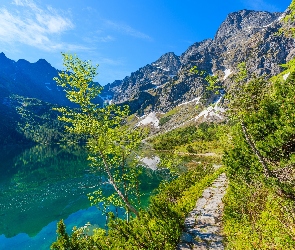 Dróżka, Mięguszowickie Szczyty, Tatry, Drzewa, Góry, Polska, Jezioro Morskie Oko