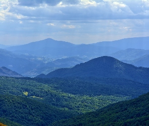 Polska, Lasy, Góry, Bieszczady, Góra Tarnica, Wzgórza