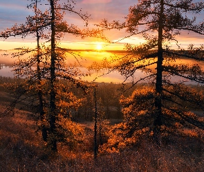 Zachód słońca, Jezioro, Drzewa, Las