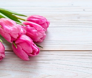 Kwiaty, Deski, Tulipany, Różowe
