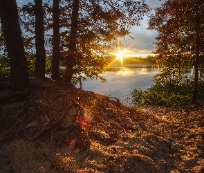 Drzewa, Wschód słońca, Świt, Jezioro