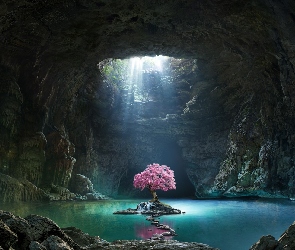 Grafika, Drzewo, Woda, Jaskinia, Światło, Kwitnące