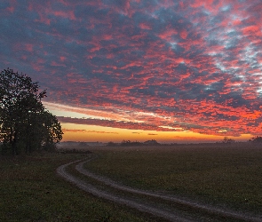 Wschód słońca, Niebo, Drzewa, Droga, Łąka, Chmury