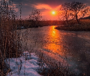 Rzeka, Zachód słońca, Zima, Trzciny, Szuwary, Drzewa, Śnieg