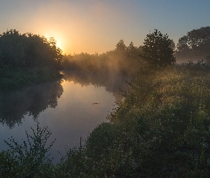 Wschód słońca, Mgła, Rzeka, Drzewa