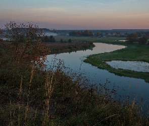Wschód słońca, Drzewa, Rośliny, Mgła, Łąki, Rzeka, Trawa