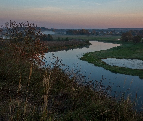 Rośliny, Rzeka, Mgła, Łąki, Drzewa, Wschód słońca, Trawa