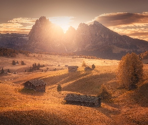 Płaskowyż Seiser Alm, Drzewa, Wschód słońca, Włochy, Domy, Wzgórza, Dolina Val Gardena, Góry Sassolungo, Dolomity