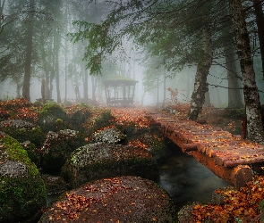 Park, Mgła, Kładka, Altanka, Liście, Kamienie, Las, Rzeka, Omszałe