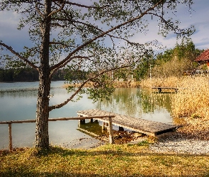 Dom, Drzewa, Jezioro, Pomost