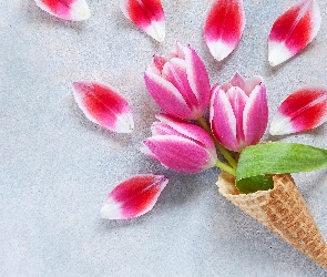 Trzy, Rożek, Kwiaty, Płatki, Biało-niebieskie, Tulipany, Tło, Waflowy