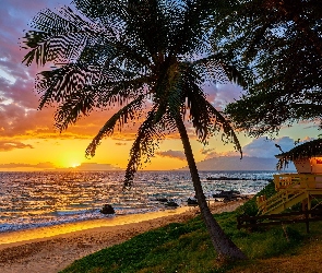 Hawaje, Morze, Wieża ratownicza, Wschód słońca, Chmury, Palmy