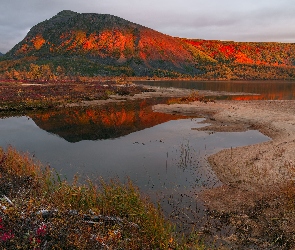 Rosja, Magadan, Drzewa, Góry Kołymskie, Jezioro Jack London, Kołyma