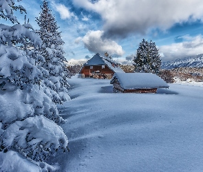 Zima, Domy, Drzewa, Śnieg