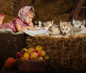 Dziewczynka, Jabłka, Siberian husky, Siano, Szczeniaki