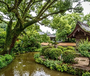 Dom, Krzewy, Ogród japoński, Park, Staw, Drzewa