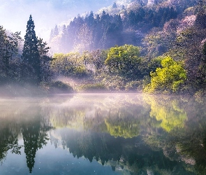 Korea Południowa, Odbicie, Drzewa, Kolorowe, Góry, Jezioro