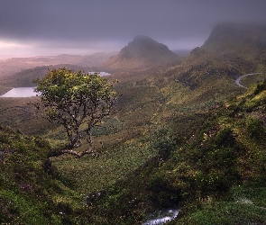 Wyspa Skye, Drzewo, Jeziora, Szkocja, Rośliny, Góry, Mgła