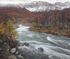 Patagonia, Park Narodowy Los Glaciares, Góry Andy, Argentyna, Drzewa, Rzeka Las Vueltas, Las