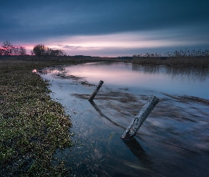 Podlasie, Trawa, Poranek, Polska, Kołki, Rzeka Supraśl, Drzewa