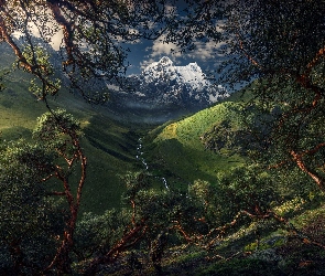 Góry, Drzewa, Peru, Rzeka, Dolina, Park Narodowy Huascaran, Kordyliera Biała