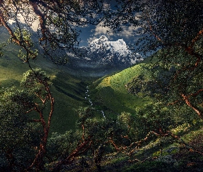 Park Narodowy Huascaran, Dolina, Góry, Peru, Rzeka, Drzewa, Kordyliera Biała