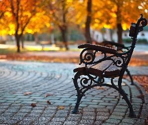 Ławka, Alejka, Jesień, Park