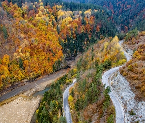 Droga, Drzewa, Wzgórza, Jesień, Rzeka, Lasy