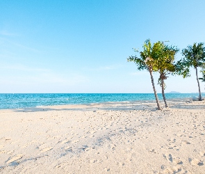 Palmy, Niebo, Błękitne, Morze, Plaża