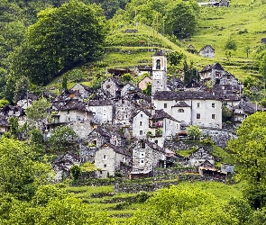 Szwajcaria, Kanton Tessin, Corippo, Locarno, Zieleń, Stok, Roślinność, Drzewa, Wzgórza, Domy