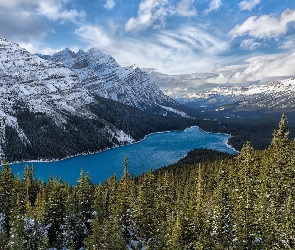 Góry Canadian Rockies, Park Narodowy Banff, Kanada, Lasy, Drzewa, Zima, Jezioro Peyto Lake